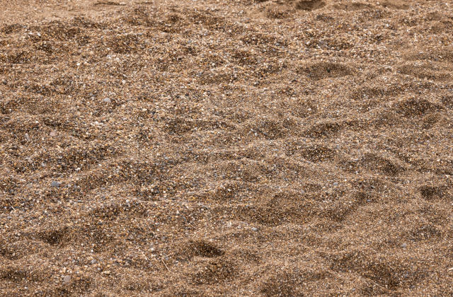 Sable