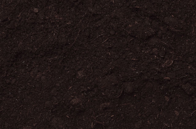 Terre noire