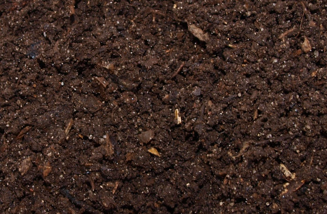 Top soil